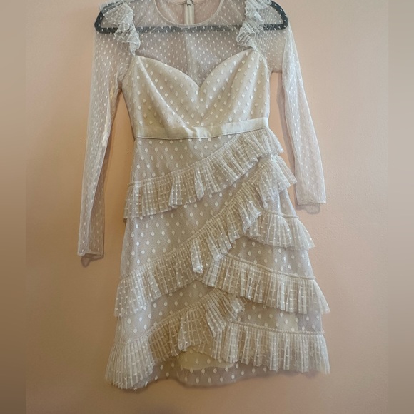 Revolve Dress: BCBGMaxazria Pleated Tulle Mini Dress - Picture 5 of 5